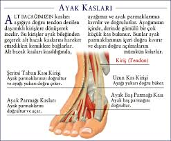 ayak kasları