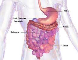 bağırsak kanaması