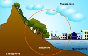 biyosfer nedir