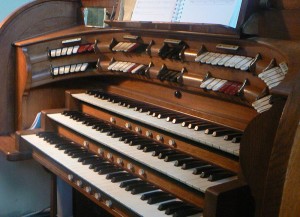 Organ