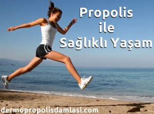 propolis-saglikli-yasam