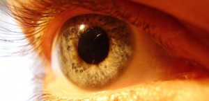 sarı-nokta-hastalığı