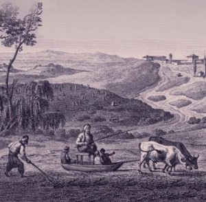 DEVLETKOYLUenson.indd