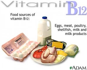 vitamin-b12-source-picture
